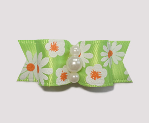 #1864 - 5/8" Dog Bow - Bright, Delightful Daisies, Green