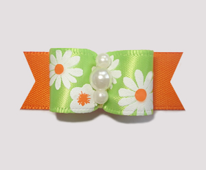 #1865 - 5/8" Dog Bow - Bright, Delightful Daisies, Green/Orange