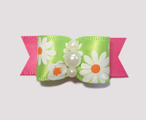 #1867 - 5/8" Dog Bow - Bright Delightful Daisies, Green/Hot Pink