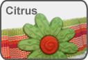 Citrus