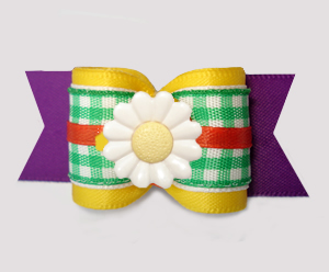 #A7620 - 7/8" Dog Bow - Sweet Spring Picnic, Delightful Daisy