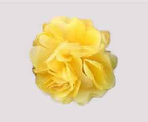 #ASPRBLM10 - Dog Hair Clip - Spring Blossom, Sunny Yellow