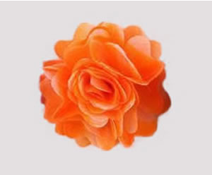 #ASPRBLM30 - Dog Hair Clip - Spring Blossom, Tangerine