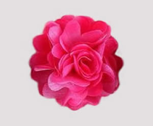 #ASPRBLM50 - Dog Hair Clip - Spring Blossom, Hot Pink