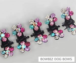 #SW168- Dog Mini Clip- Sparkly Claw Clip Multi-Color Flower