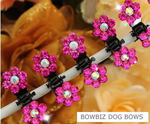 #SW550 - Dog Mini Clip - Sparkly Claw Clip Hot Pink Flower