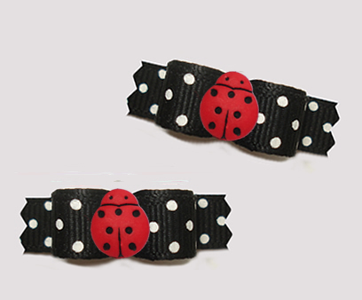 #T9378 - 3/8" Dog Bow - Chic Black/White Dots, Sweet Red Ladybug