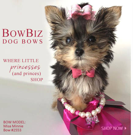 Dog Hair Bows-Lilly's Five (5) Favorite Pink Bows with Elastics