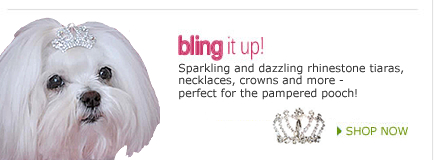 Bowbiz dog bows Clearance